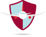 Safe Flight icon
